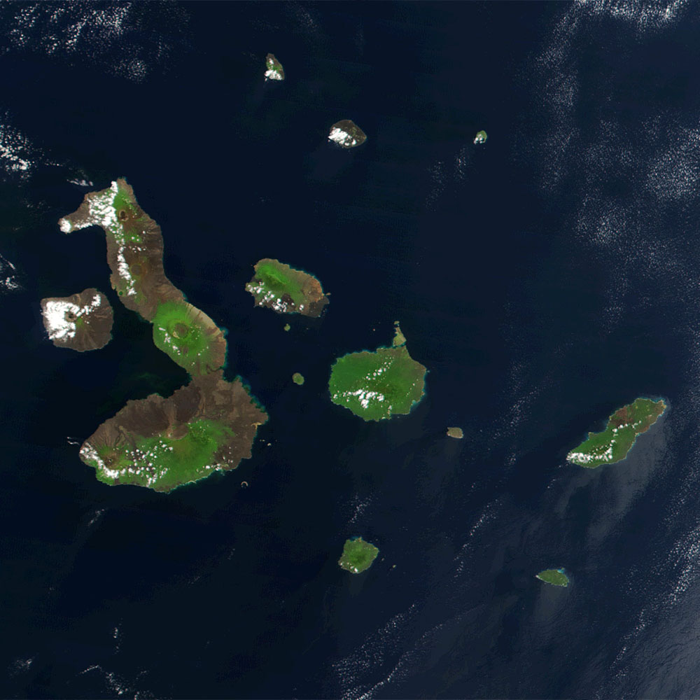 Galápagos 2013-2015